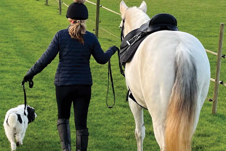 Energetic Power of Not Being Perfect With Your Horse